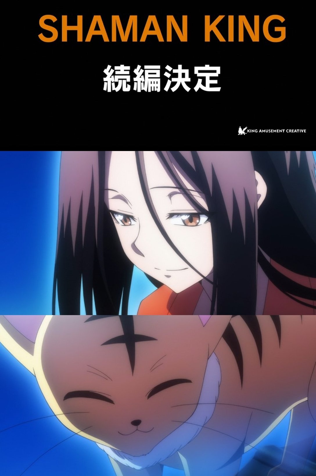 Twitter 上的 トトとっしー 最終回52話プリンセスハオエンドではなく五大精霊vsグレートスピリッツ戦 ハオは母との再開で皆と和解 この映像化をファンは10年以上も待ち続けた 続編のシャーマンキングflowers確定か 外伝のzeroやshaman King The Super Star レッド