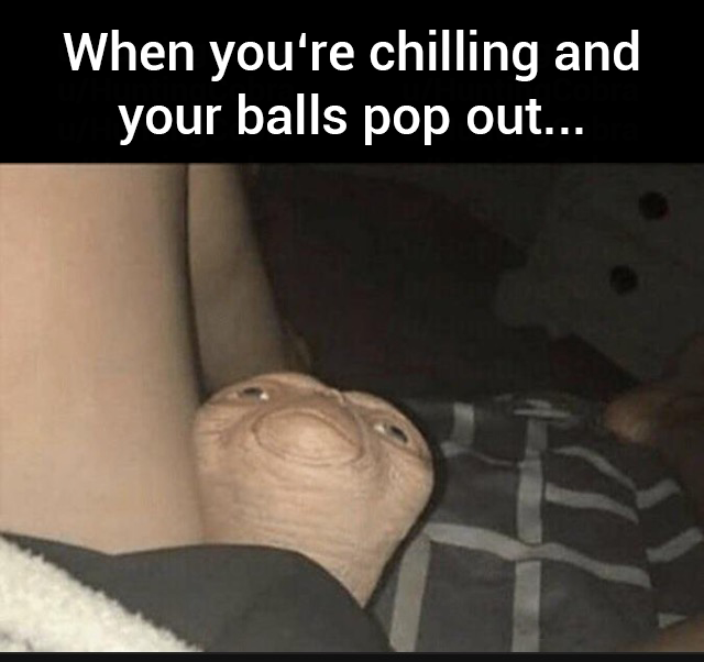 NonFunctionalTesticles (Wen Mint? Soon👀) tweet media