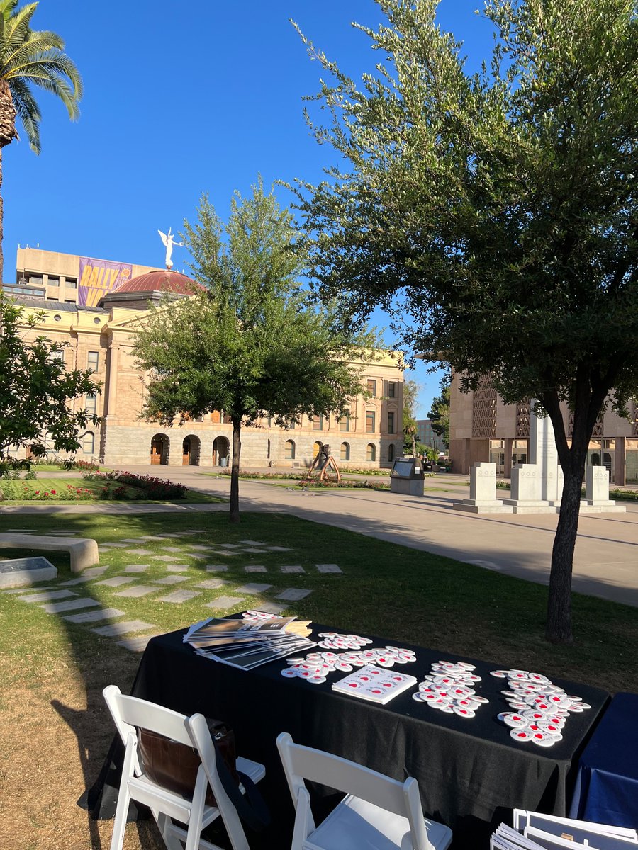 Can’t be at our #ChartersattheCapitol event today? You don’t have to miss out! There are still ways to help celebrate & advocate for #Arizona's public charter schools with @AZCharterSchool Here’s just one! Sign up to be a #CharterChampion today: azcharters.org/impact/advocac…