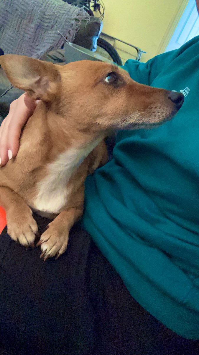 The look of love 💞 (and maybe hunger)