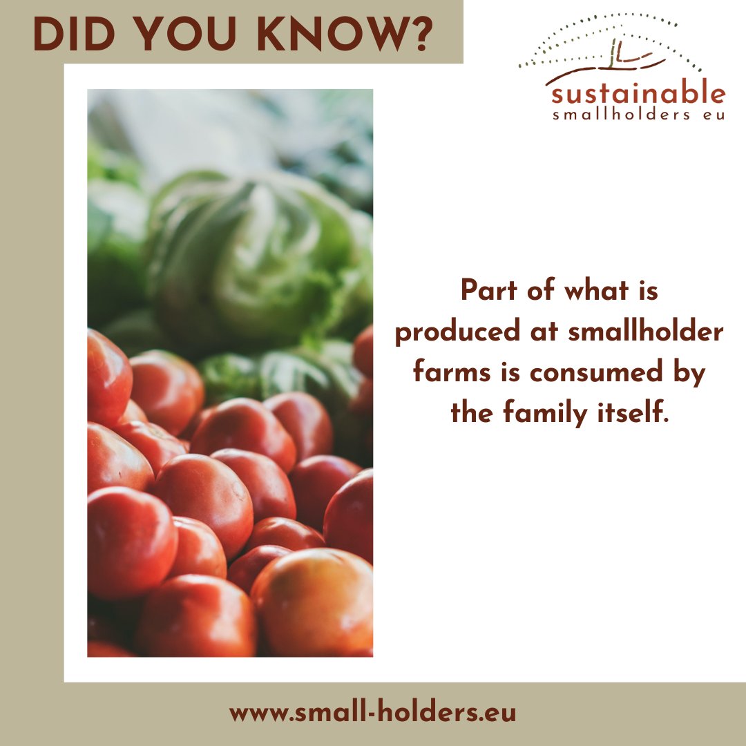 Sustainable Smallholders tweet media