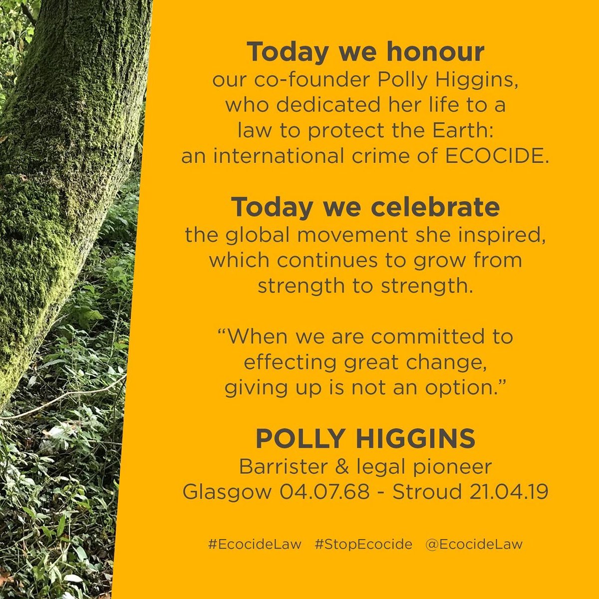 Stop Ecocide Belgium tweet media
