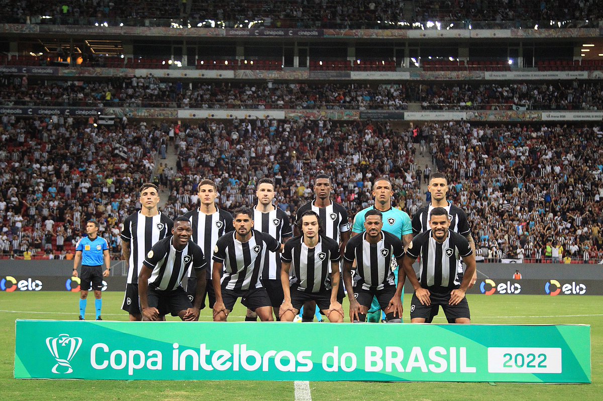 Delpiage's tweet photo. @Botafogo 🔥🌟 #23
@CopadoBrasil   
 📸 Vitor Silva https://t.co/GyjBA4eDOl