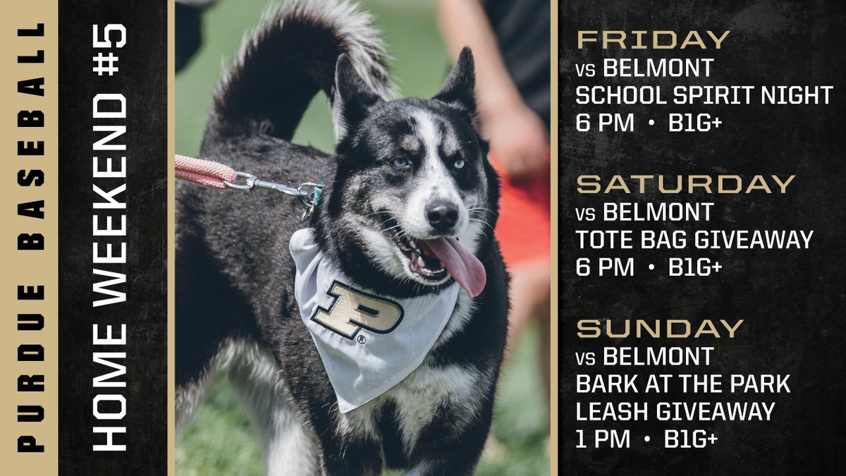 Purdue Baseball tweet media