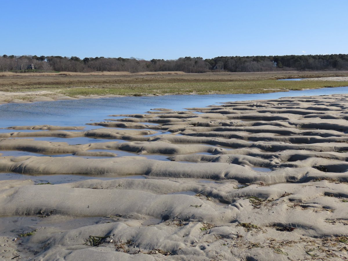 sdoppler2's tweet image. Some Cape Cod Bay sights and designs, at Crosby Stills Nash Landing Beach. 
#AprilTextureChallenge
