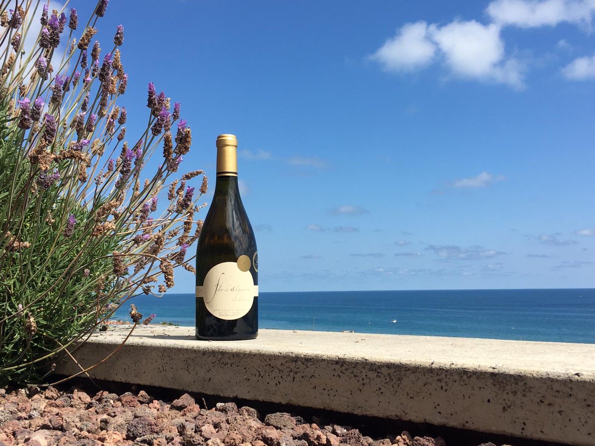 Mediterranean sea is the essence of our wines. Our grapes grow just 25 KM away from the sea.
#mediterraneansea #mediterraneanwines#mediterraneandiet