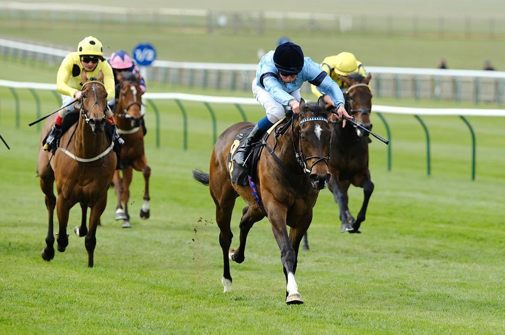 3 DAYS OF RACING • 22 RACES • INCREDIBLE PRIZE POT 

🥇 £3000
🥈 £1500
🥉 £500

It's FREE to enter, register today ➡️ cloud9sports.co.uk

#C9S #Cloud9Sports #HorseRacing #thenewmarketguineasgame