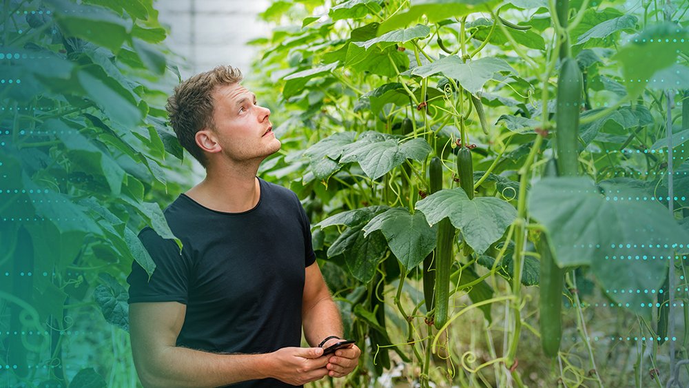 Tip! Discover how you can improve the flexibility of your production strategy with the 'corrections' functionality ✅ hubs.ly/Q018s80s0