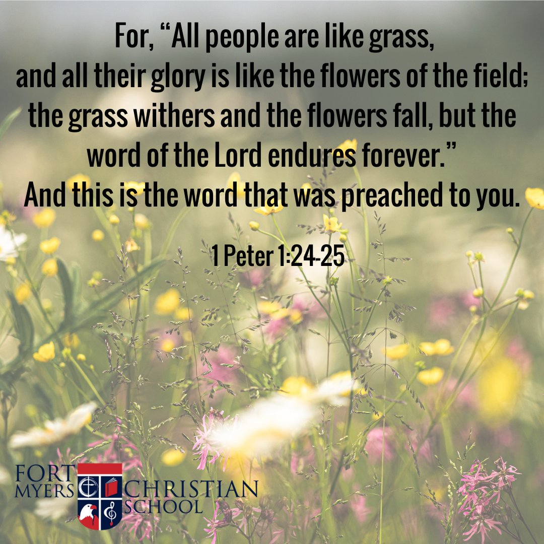 FMCSEAGLES's tweet photo. The Good News is eternal! Happy Scripture Thursday!
.
.
.
#ScriptureThursday #FMCSBuilds #Shine #Privateschool #LeeCountySchool #ChristianEducation https://t.co/x3Az8u1NUf
