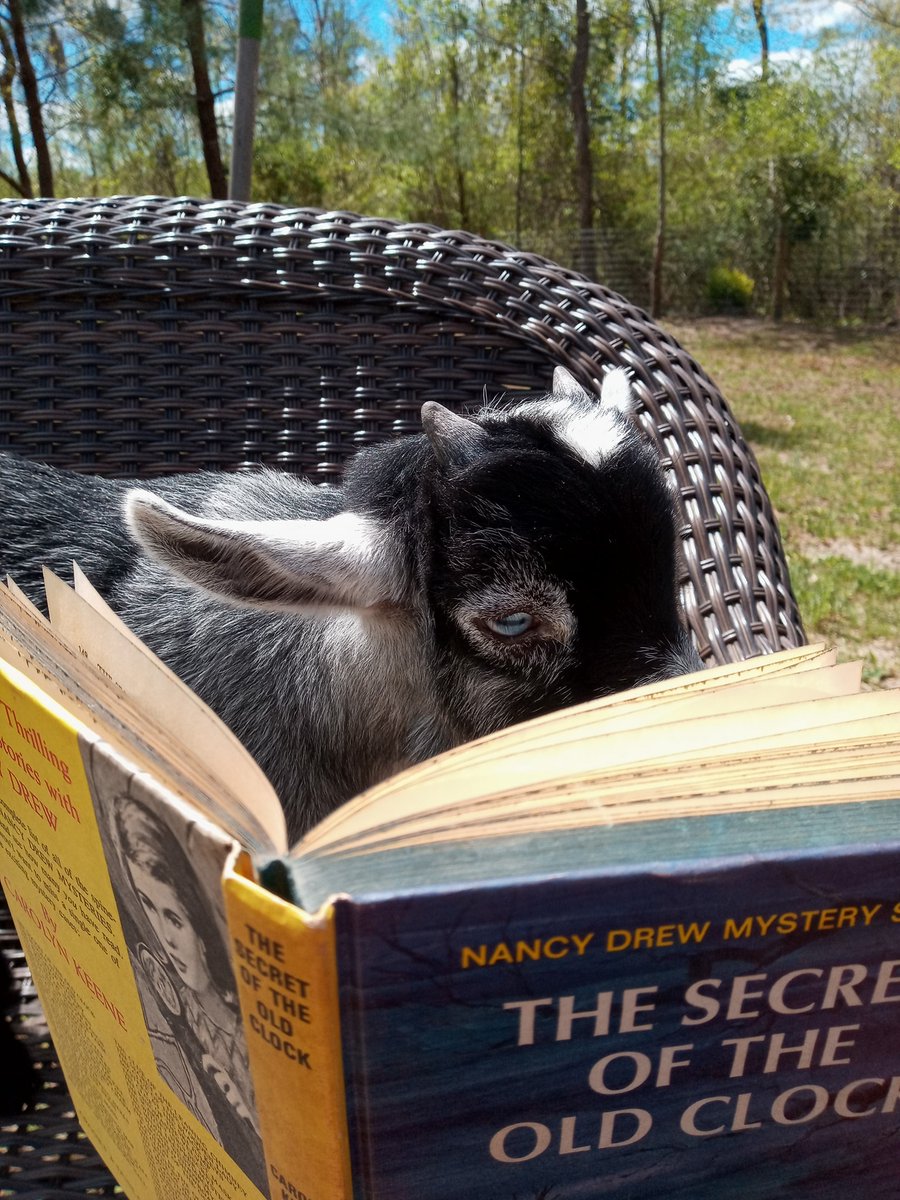 Ellyssa Valenti Kroski tweet media