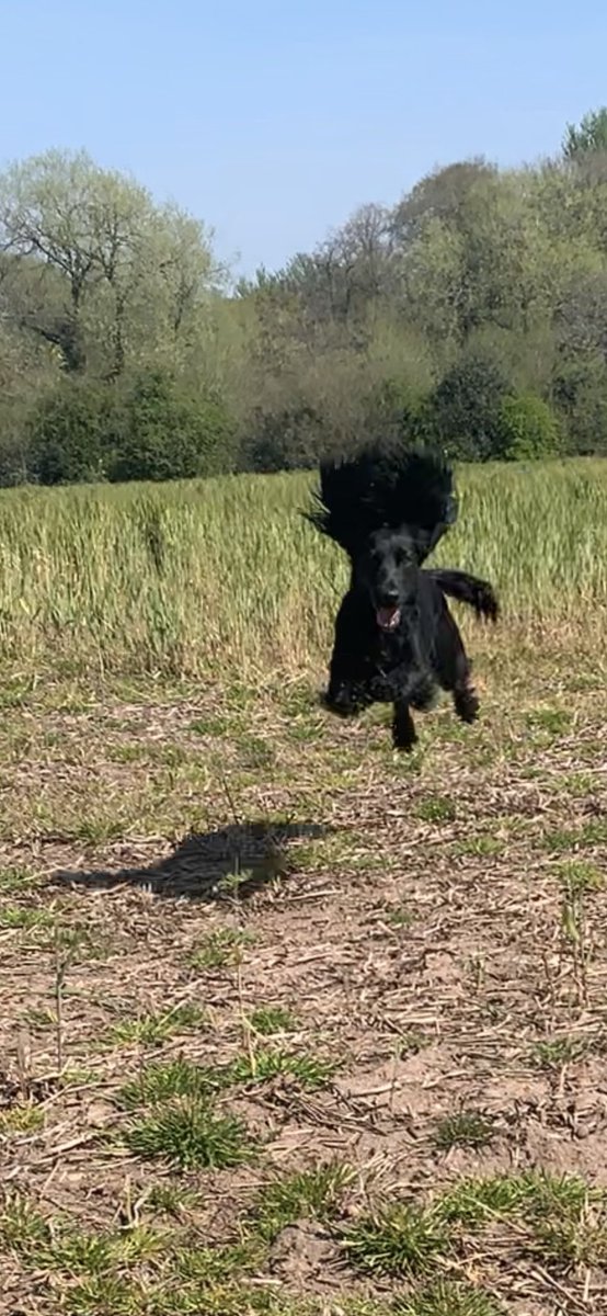 It’s exciting out on the #farm.