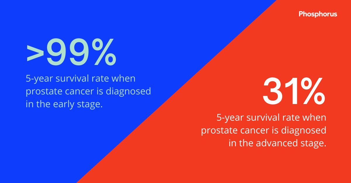 Phosphorus tweet media