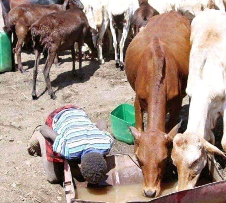 After 21 century no access to clean water to domestic community.