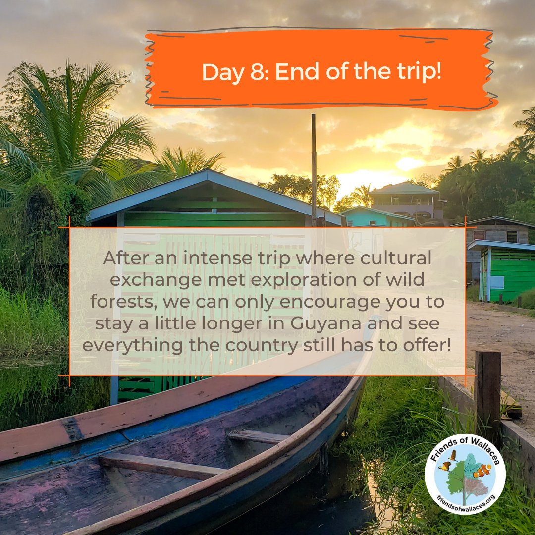 WallaceaFriends's tweet photo. Back in Georgetown after a week full of exploration, learning more about traditional indigenous ways of living, and exchanging with new Guyanese friends, we are sure you will have memories to cherish for the rest of your life. 😍 https://t.co/fG1J3As1nd