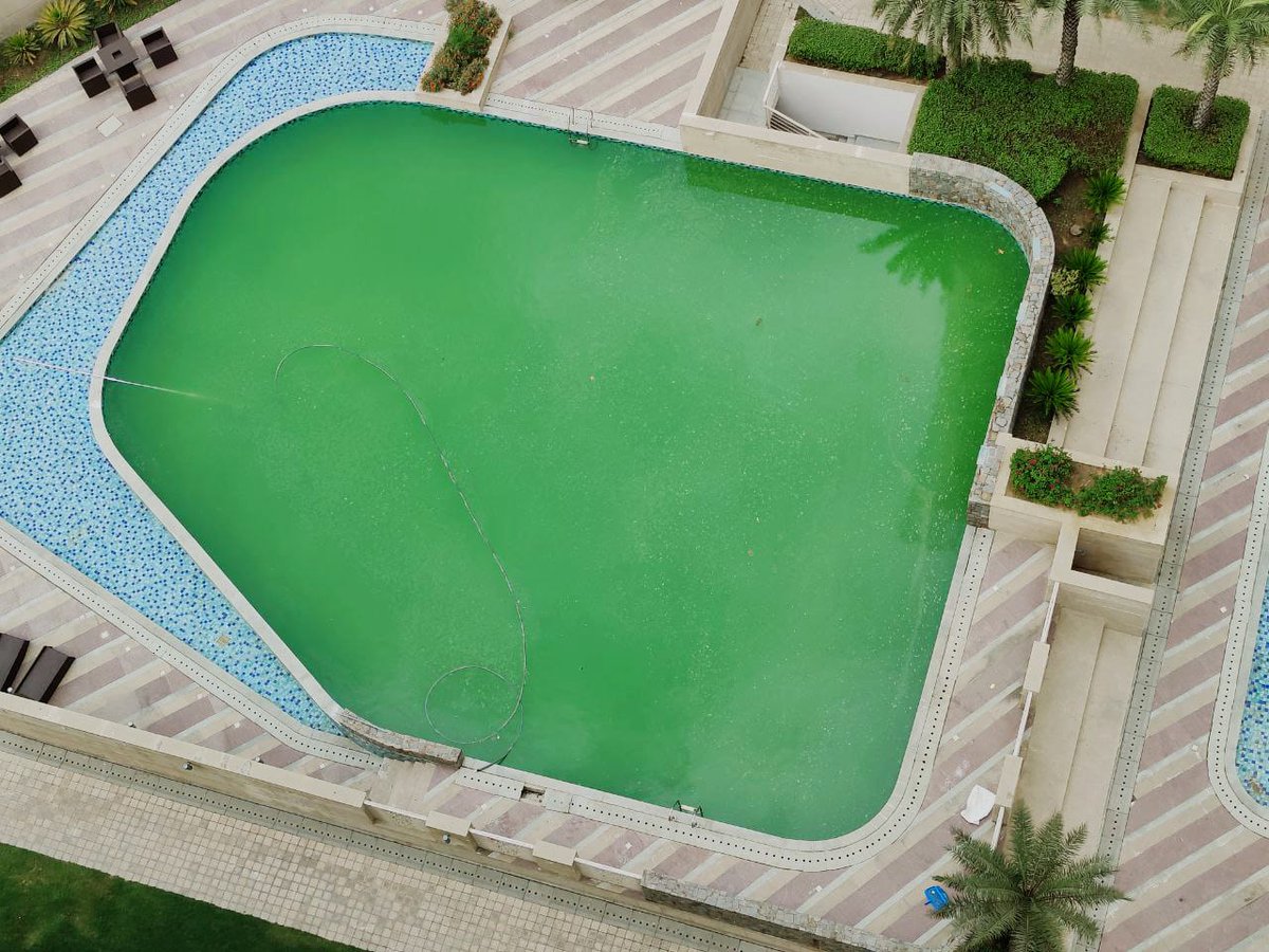 adityasarwan's tweet photo. @M3MIndiaPvtLtd please solve the problems which we are facing in m3m woodshire sector 107 gurgaon. Condition of water and swimming pool is very bad. I am sharing some pics of pool. After paying maintenance charges rwa want us to pay more for club house and swimming pool. https://t.co/d1oq0FN8ke