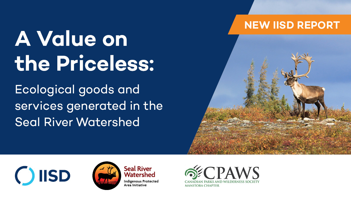 Can you put a value on the priceless?

The #SealRiver Watershed in Manitoba provides clean water, abundant wildlife, livelihoods and culture—worth at least $214M—every year.

That's just one of the *many* reasons to declare it an Indigenous Protected Area bit.ly/3xJ08vj