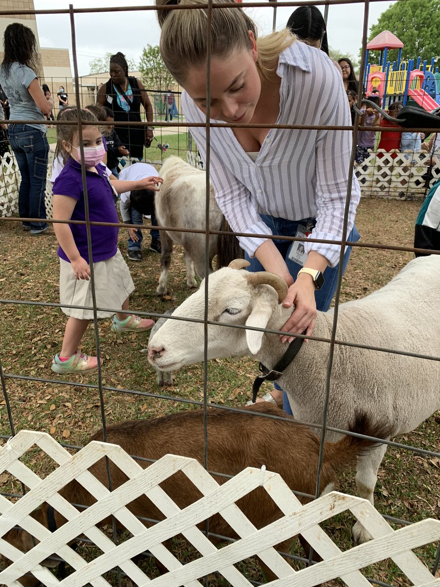 Alexander_AISD's tweet image. Wonderful petting zoo visit with @RaveMiss Ss!