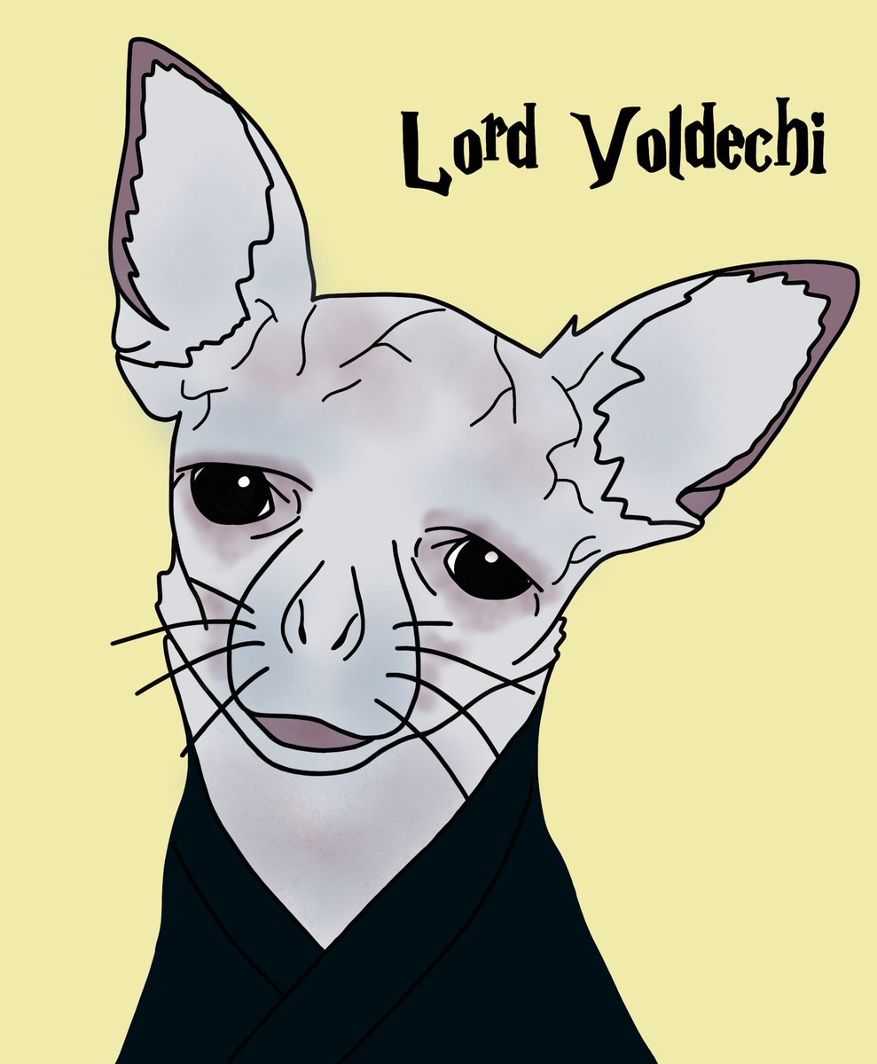 crazy_chis's tweet photo. Come to the dark side - we have some great #NFT and #LordVoldemort
Have a look at our #NFTCollection on https://t.co/GK4AcRHF7r

#nftart #digitalart #harrypotter #tomriddle #DARKSIDE #eth #Crypto #chihuahua #dog https://t.co/aQOefAWFXn