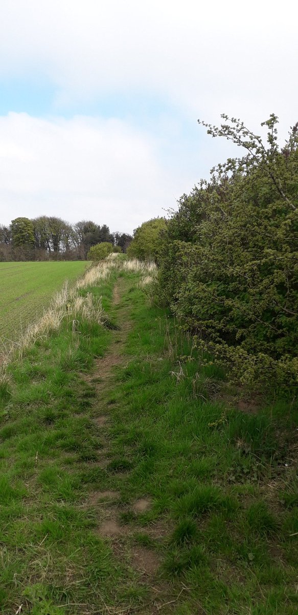 aljaroo1874's tweet photo. Managed to snatch a #Run around #Newhailes this afternoon.
This is #LadiesWalk an 18th century raised walkway. The purpose was to avoid the mud and grazing animals before they reached a further raised platform with 360 views of the #Forth & beyond.
#TrailRunning
#RunAndLearn https://t.co/TS2cJCvlN3