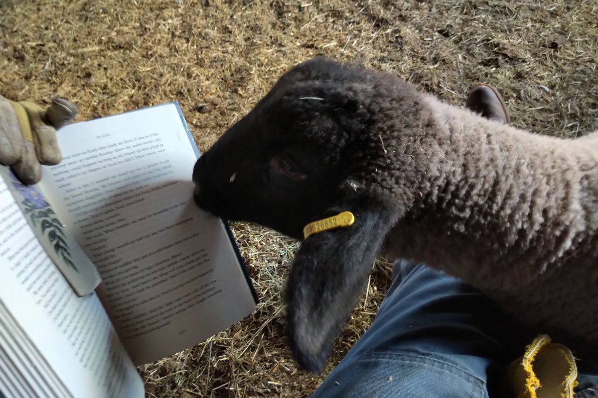 Karen Murray tweet media