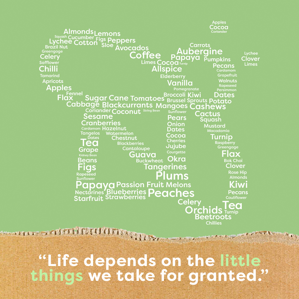 hilltop_honey's tweet photo. Without bees, there's no nature. And without nature, there's no us. Life depends on the little things we take for granted.

Bees are responsible for pollinating hundreds of plants, fruits &amp; even nuts!

#protectthebees #tobeeornottobee #protection #conservation #worldearthday https://t.co/zvWeafxOwj