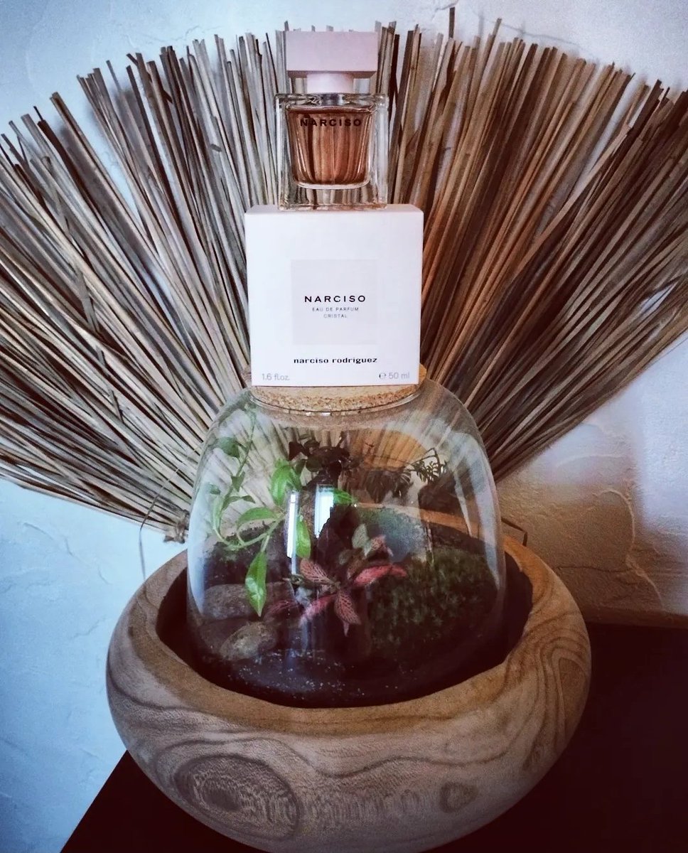 mag_reb's tweet photo. Le nouveau parfum Cristal
Narciso Rodriguez
Je suis séduite ❤️
#narcisorodriguez #cristal #nouveauparfum #perfume #parfum #eaudeparfum #parfumfemme #forher #octolyfamily #octoly #Nocibe #magstp https://t.co/SRGCcaGEmV