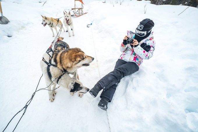 2 pic. Day 33: Dogsledding in Alaska - One of the coolest experiences, from meeting the mushers, to the