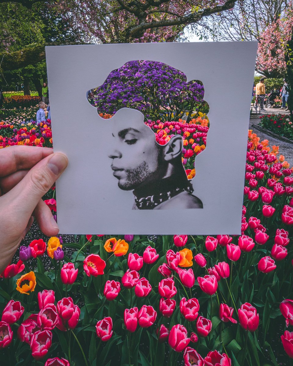 real_Turandot's tweet photo. I miss #Prince 💜 https://t.co/Y28nDjy5At