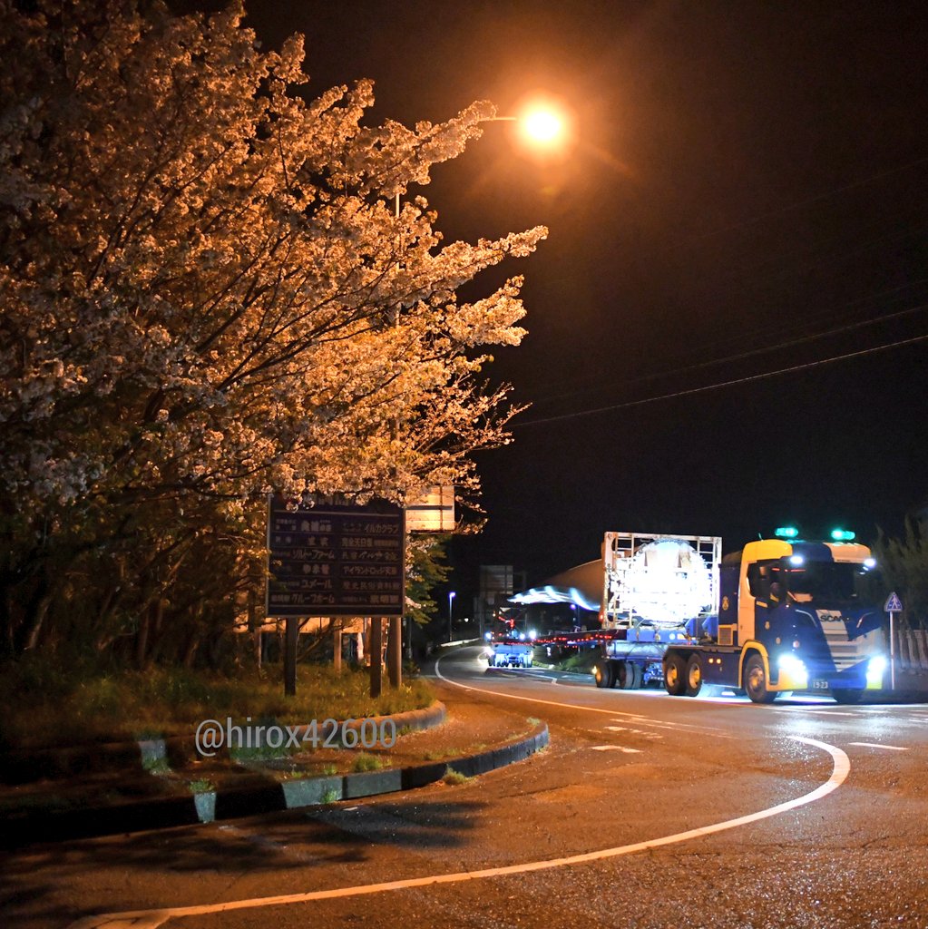 hirox42600's tweet photo. 満開の桜🌸×アチハさんのトレーラー🚛
昨年の3月に五和町二江の国道沿いにて撮影していた1枚📷
桜の木の後ろを約53mの風車のブレード(羽)を載せて走り抜ける「SCANIA・R650」の姿は圧巻でした😆
#アチハ株式会社 #SCANIA #R650 #風車 #桜 https://t.co/R6pBiDhzIj