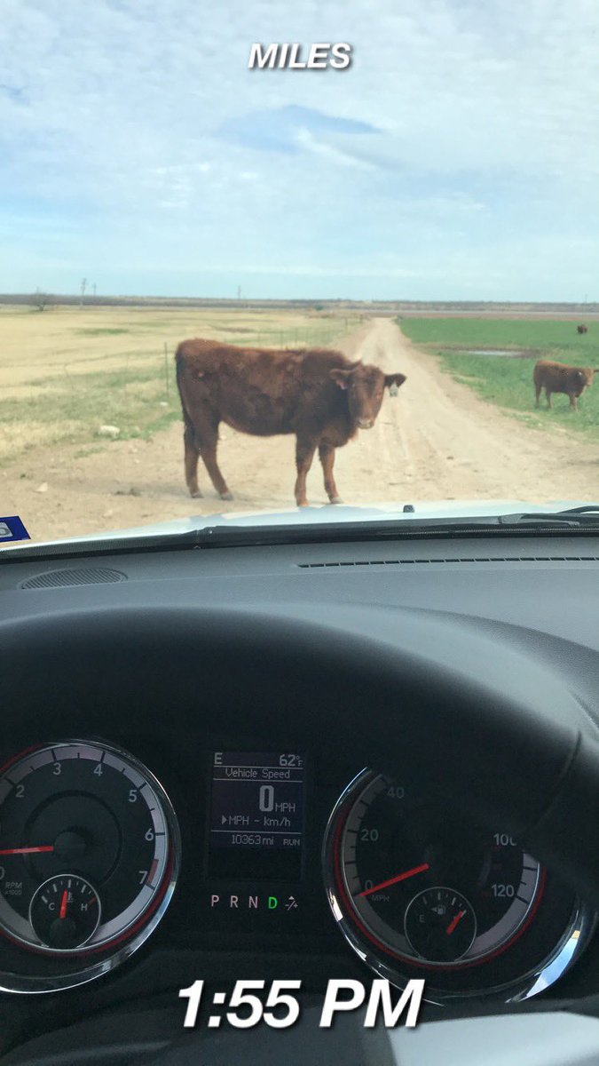 MonicaD07914771's tweet image. My favorite days at work is when I am out in the fields with our families and kids! #migranteducationprogram