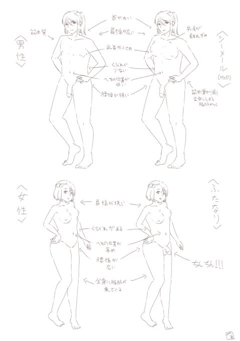男女(+α)の描き分けについて主観を描き出してみました。 