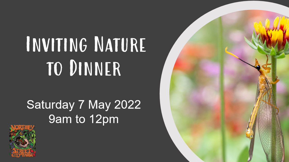 How we garden can be critical for the little creatures and all other life. 

This workshop will explore how we can make a difference in our local spaces and places. 

ow.ly/COhL50IOCBa