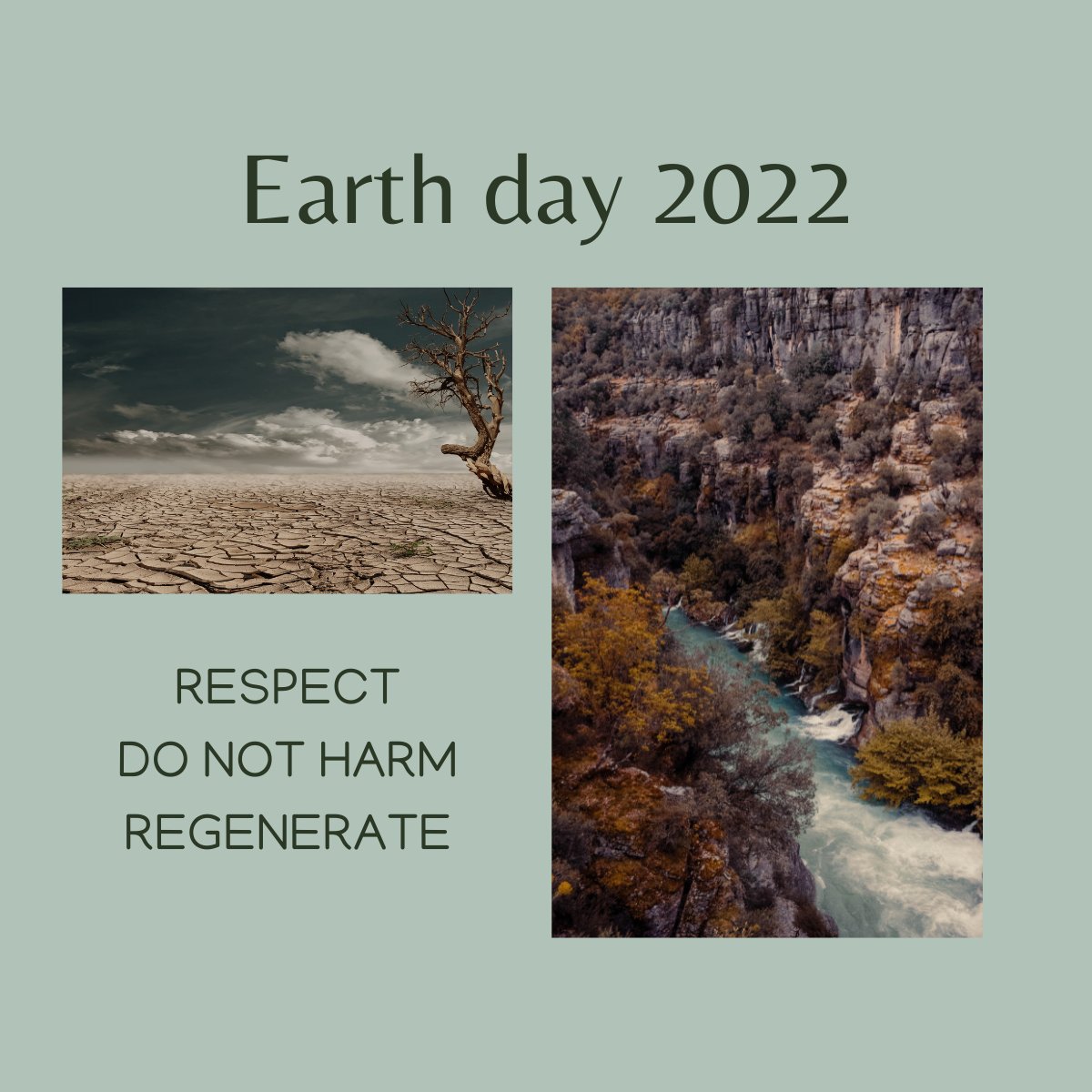 de_antonellis's tweet photo. as simple as it is ...
#circulareconomy 
#SDGs 
#sustainabledevelopment 
#carbonneutral 
#forestation https://t.co/6kfusnnD3B