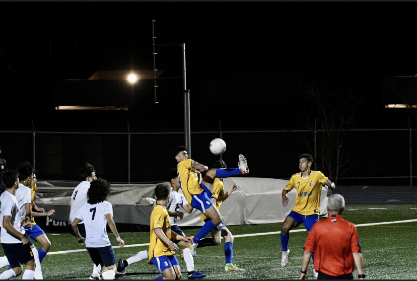 SHS Raider Soccer tweet media