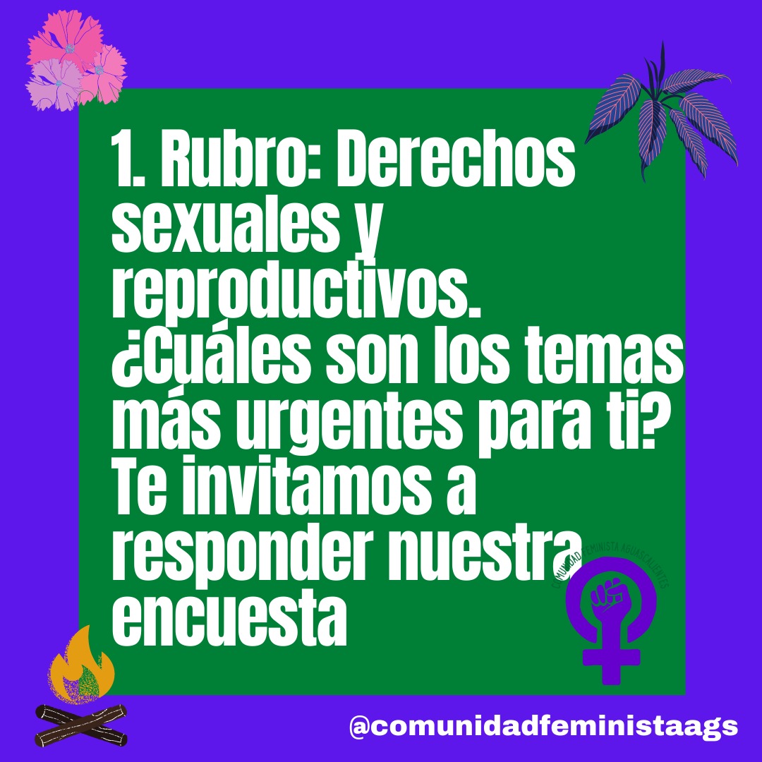 ComFeministaAgs tweet picture