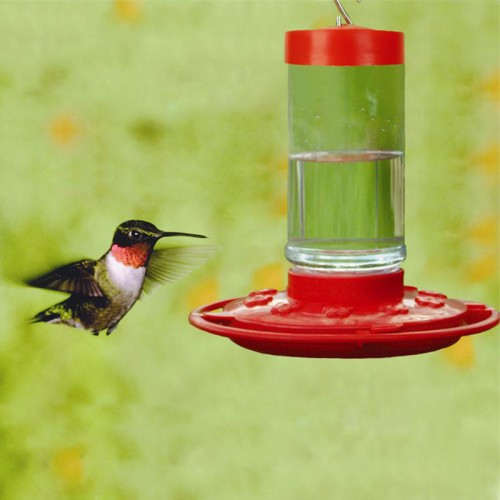 theammosource's tweet photo. Hummingbird is the spirit of pure joy. Check out our selection of hummingbird feeders. https://t.co/UEfNsXjDuF #hummingbirdfeeder #hummingbird #nectar #firstnature #noveltyandtoys #spring #nature #outdoors #outdoorlife #outdoorscanada #sfrc #theammosource @theammosource https://t.co/5qJGii3E0a