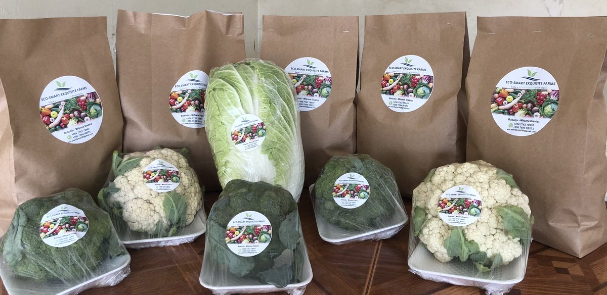 Eco-Smart Exquisite Farms LTD tweet media