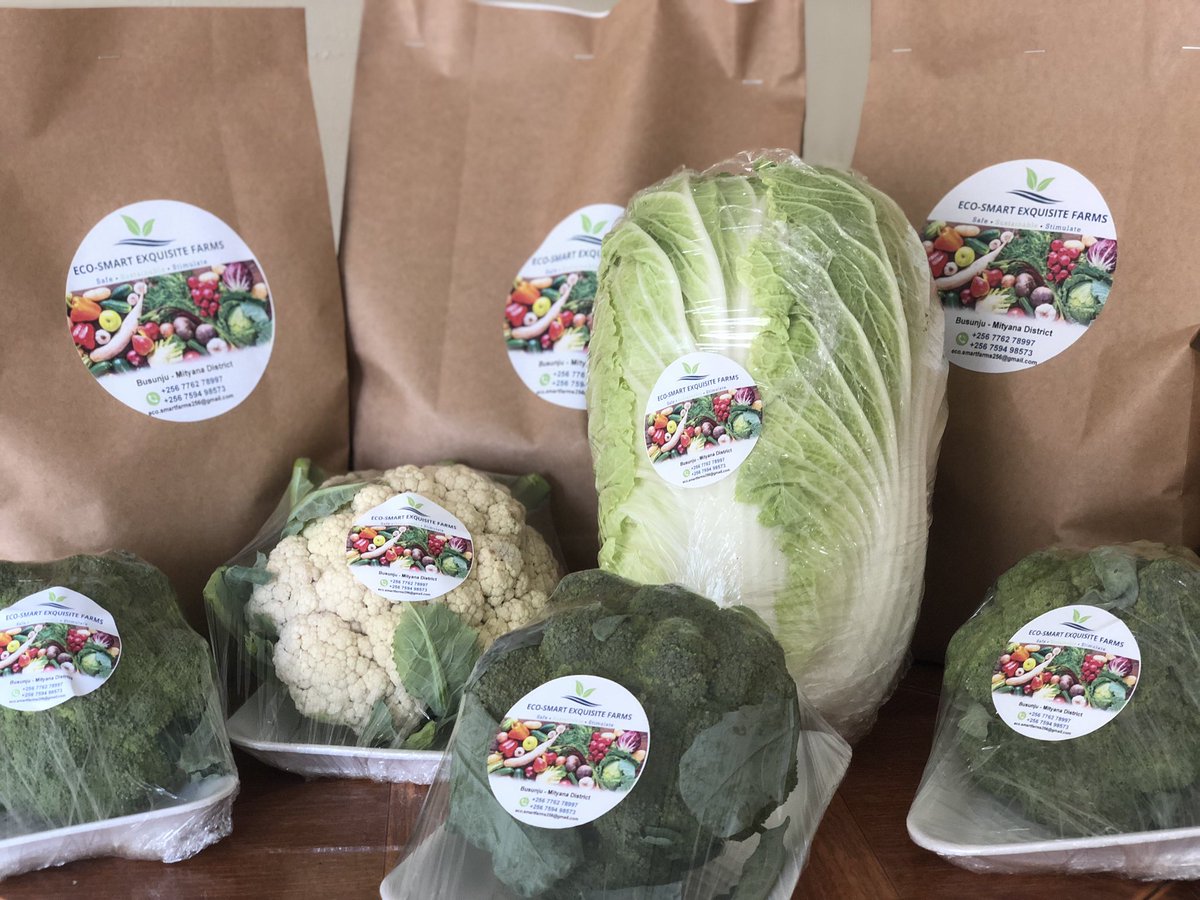 Trust us, if you enjoy fruits and vegetables and you don’t order with us <a href="/Eco_SmartFarms/">Eco-Smart Exquisite Farms LTD</a>, you are sorry indeed. Connect with us via +256 7762 78997.