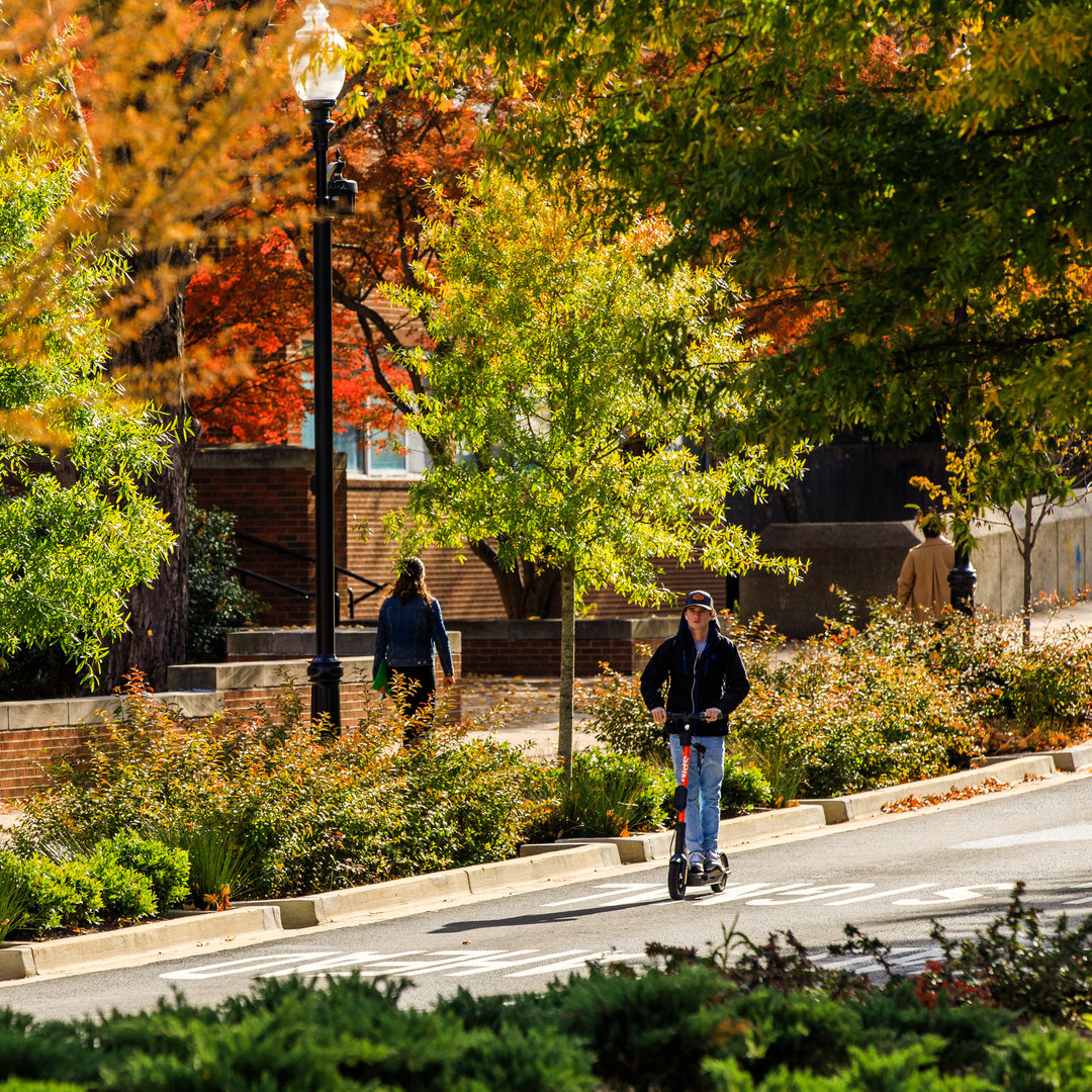 University of Tennessee Admissions tweet media
