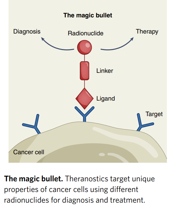 #Theranostics target unique properties of #cancer cells using different radionuclides for diagnosis &amp; treatment
nature.com/articles/s4159…