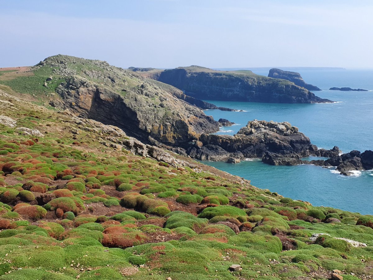 Chris Mackin tweet media