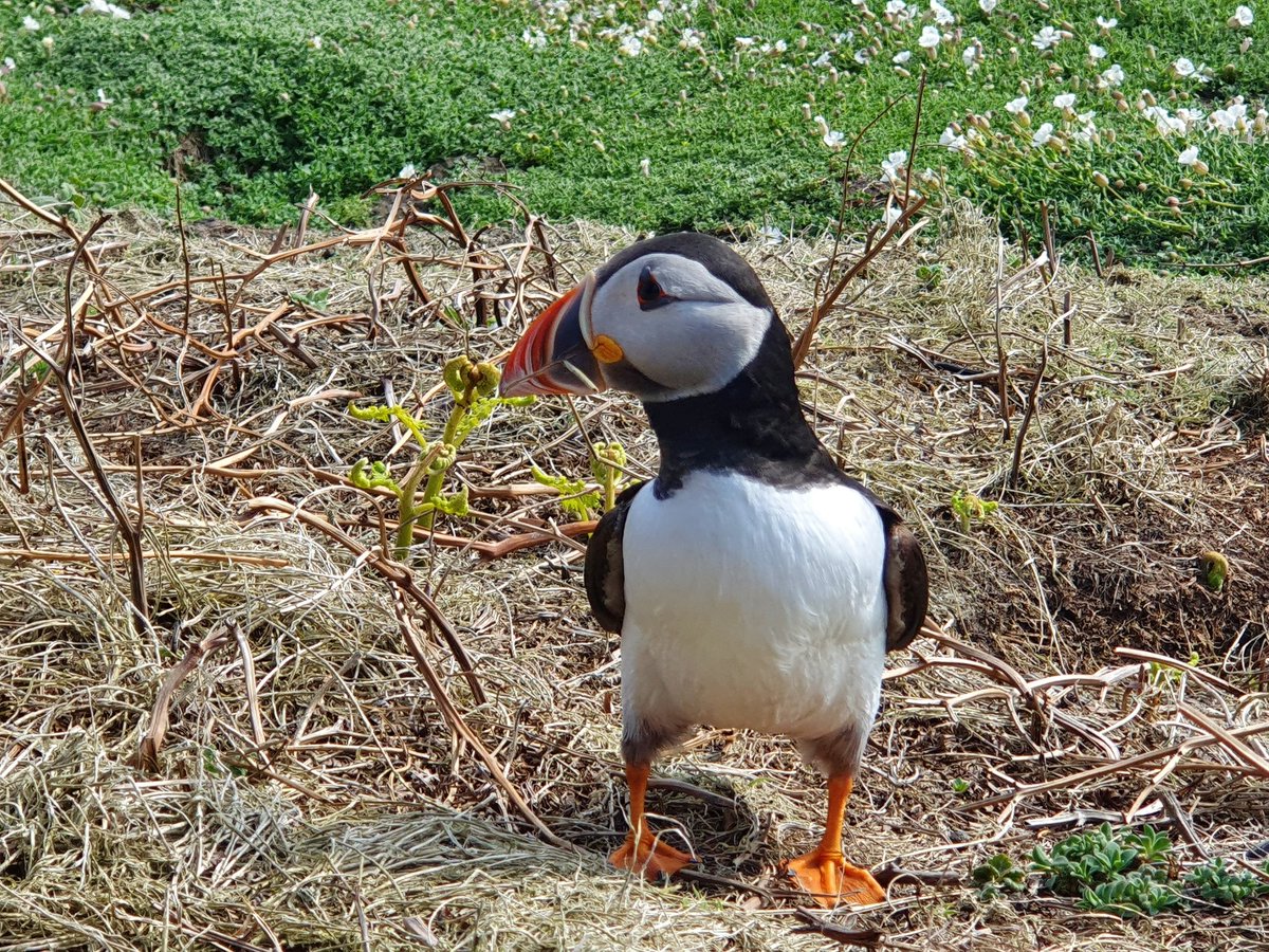 Chris Mackin tweet media