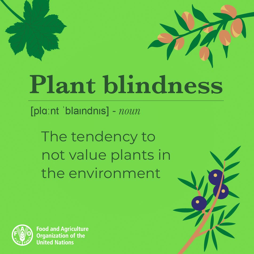 FAO on Twitter "Plant blindness has left initiatives that promote