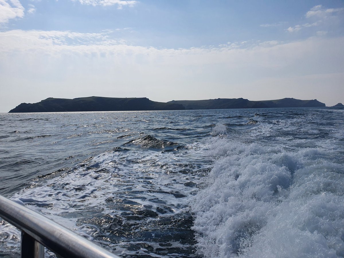 Chris Mackin tweet media