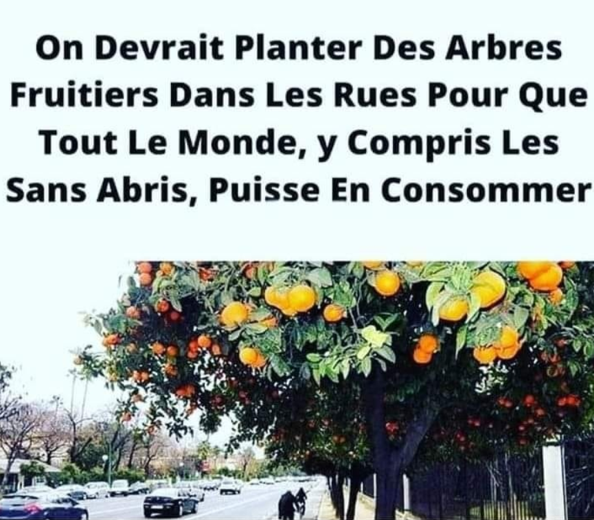 zoomabus's tweet photo. Et pourquoi ne le font-ils pas ? https://t.co/H1DYP78UdB