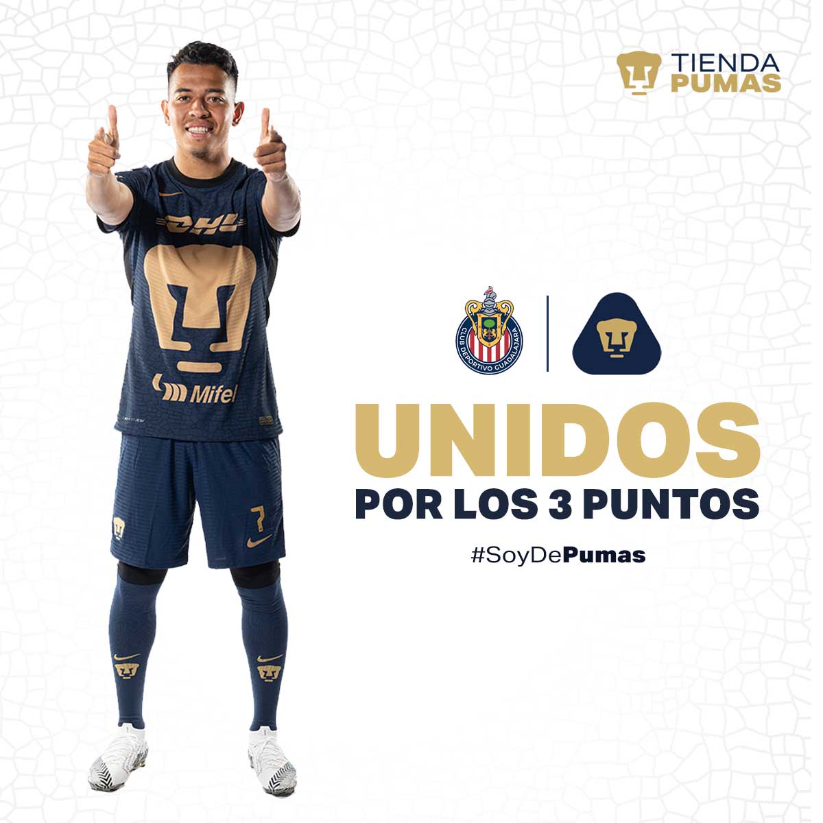 محراث تمويه معجزة tienda de pumas - reddoorrealestateky.com