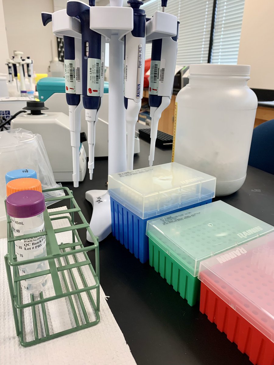 Today at 10: tune in to learn how CADOJ is using advancements in science and technology to help solve a decades-old #coldcase.

Watch our press conference with Richmond PD at oag.ca.gov