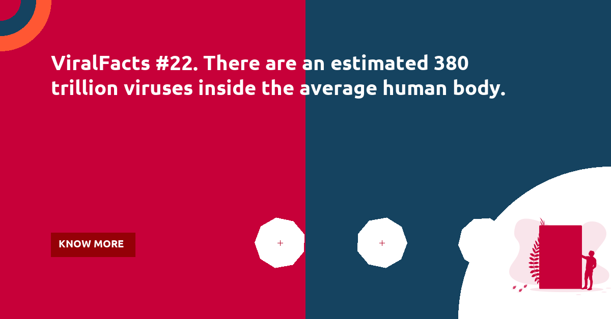 thebiologist14's tweet photo. ViralFacts #22. There are an estimated 380 trillion viruses inside the average human body. #physicaldistancingclub #Coronavirus #stayhome #handwashing #stayhomestaysafe #COVIDalert https://t.co/xW3sTsvY2x
