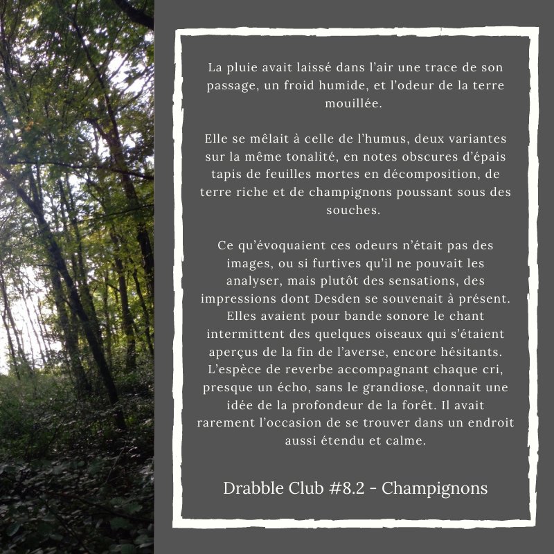 drfancypants2's tweet image. Hop! C'était un drabble, c'est toujours un drabble qui se trouve ici krakenwritingclub.wordpress.com/2021/09/19/dra…
Mais ce sera aussi plus que probablement intégré plus ou moins au chausse pieds dans le roman. Parce que. 
(Et j'ai utilisé la photo de @Justine_CM_  😊)