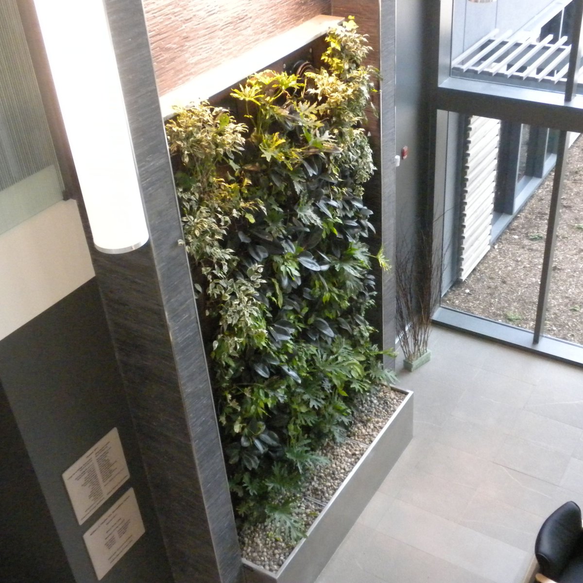 GroupNedlaw's tweet image. Our #livingwalls are not only beautiful but these #biofilters clean odors, remove VOCs and provide fresh air for a fraction of the cost compared to traditional HVAC systems. NedlawLivingWalls.com

A #NedlawLivingWalls Project: Langs 
Cambridge, ON 

Clean air, naturally 🌱
